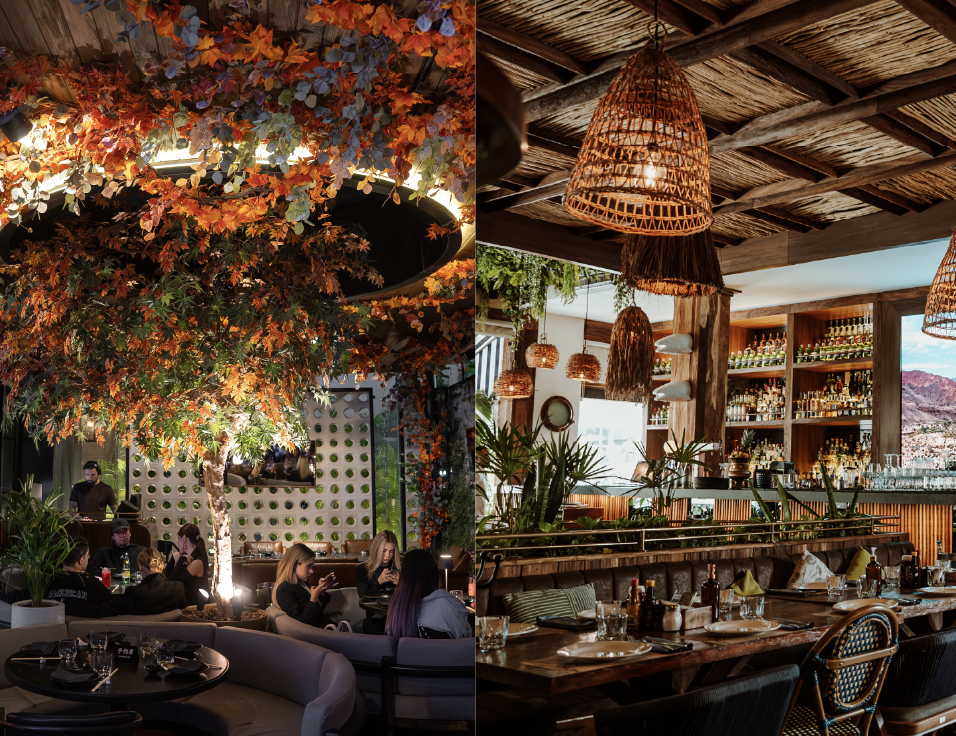 MG_Secciones_Gastronomic-14